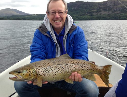 Wild Brown Trout Derwentwater