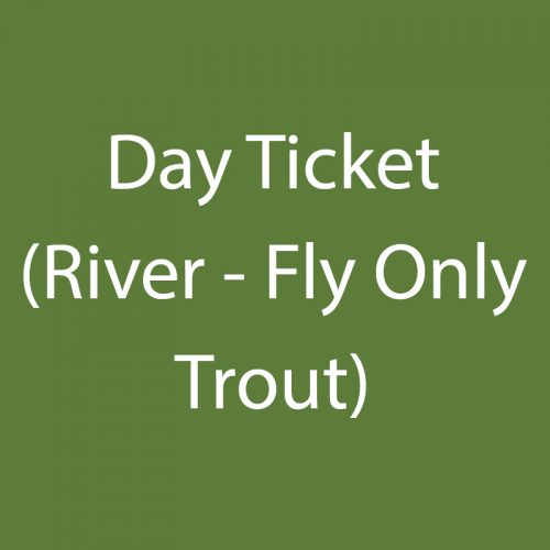 Day Ticket (River – Fly Only Trout)