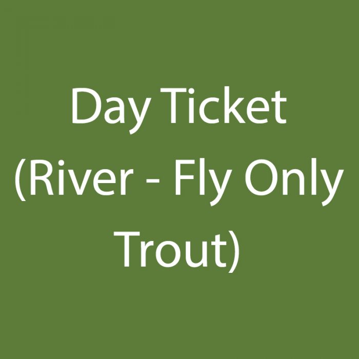Day Ticket (River – Fly Only Trout)