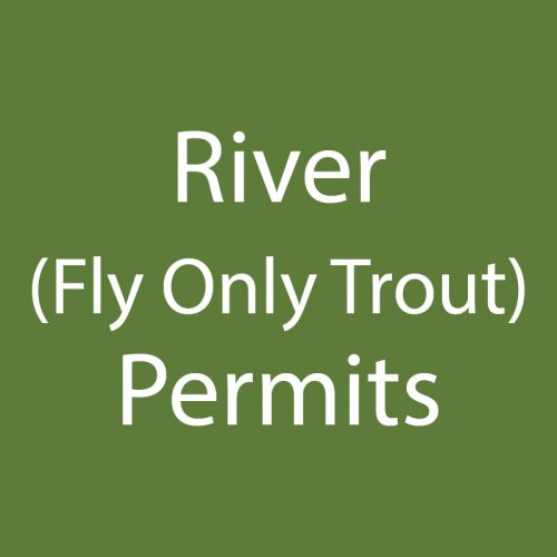 River (Fly Only Trout)