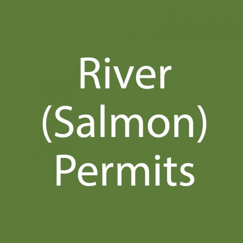 River (Salmon)