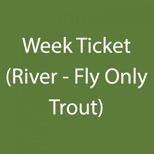 Week Ticket (River – Fly Only Trout)