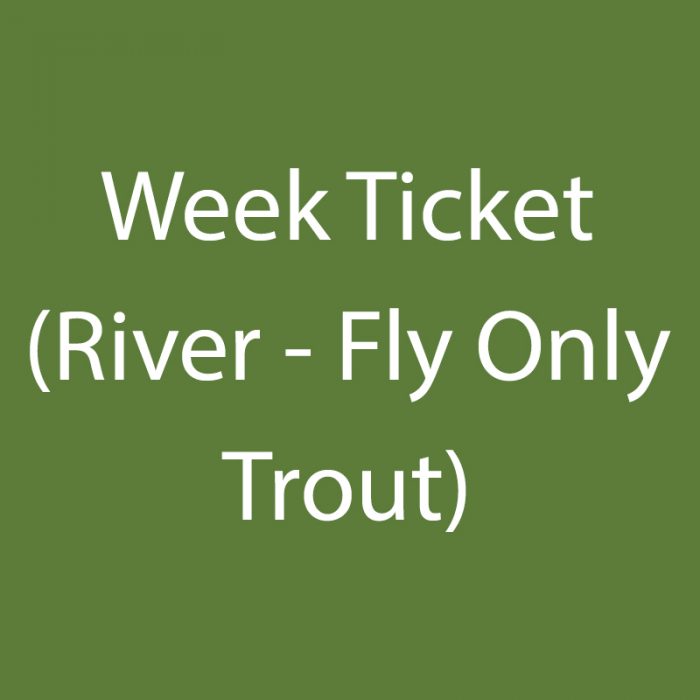 Week Ticket (River – Fly Only Trout)